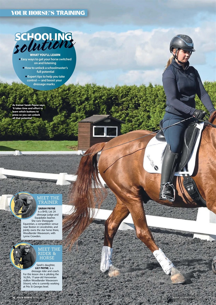 Your Horse Preview Pages