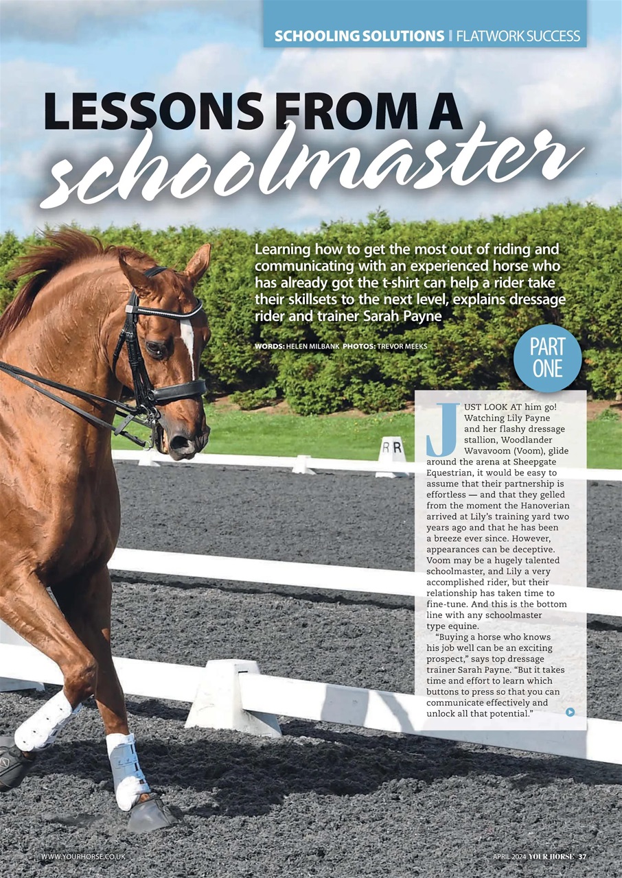 Your Horse Preview Pages