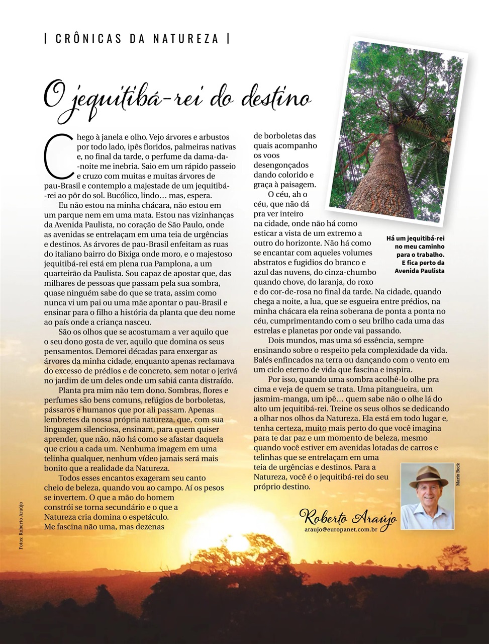 Natureza Preview Pages