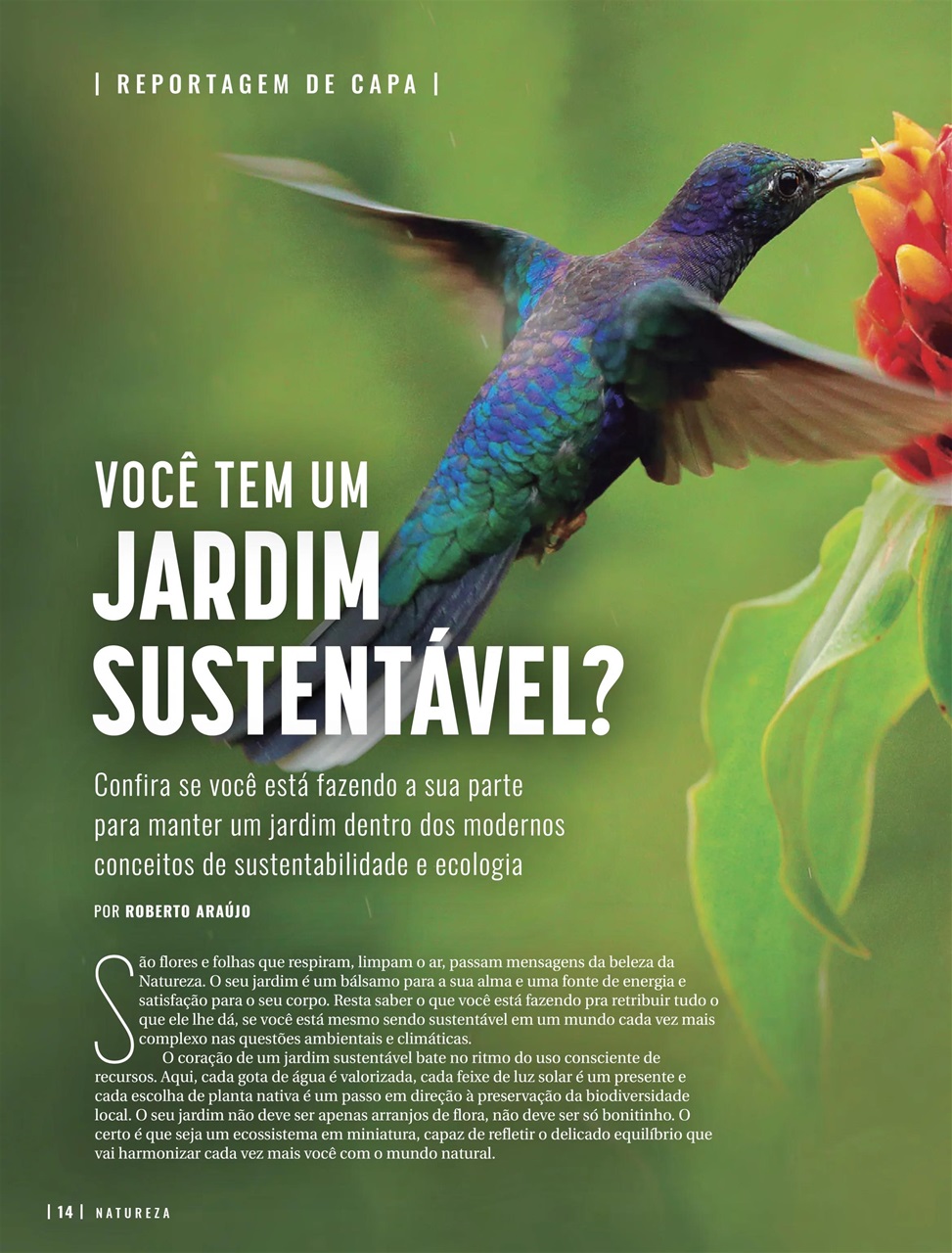 Natureza Preview Pages