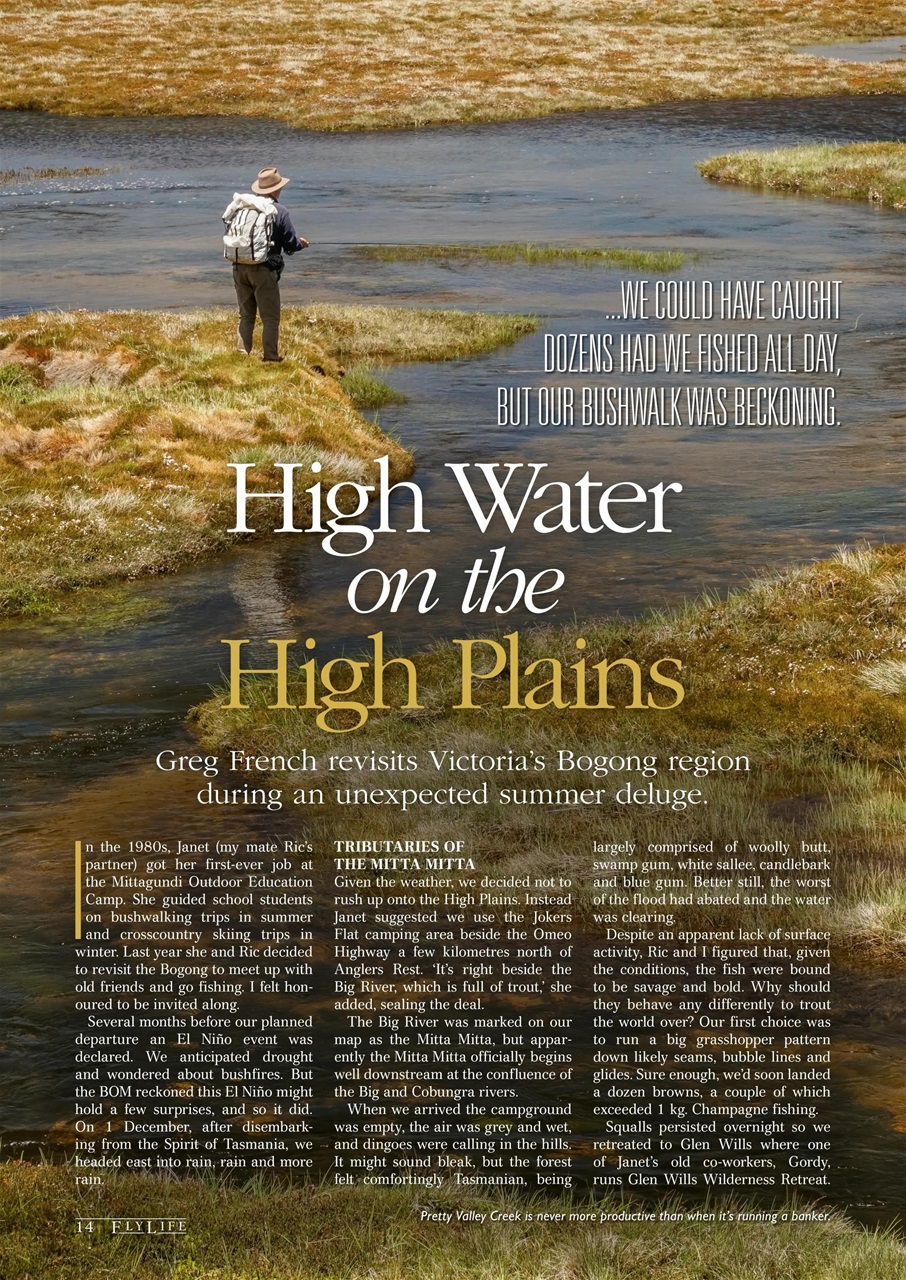 FlyLife Preview Pages