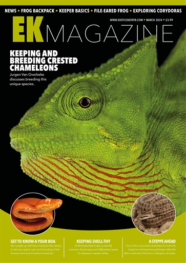 Exotics Keeper issue 