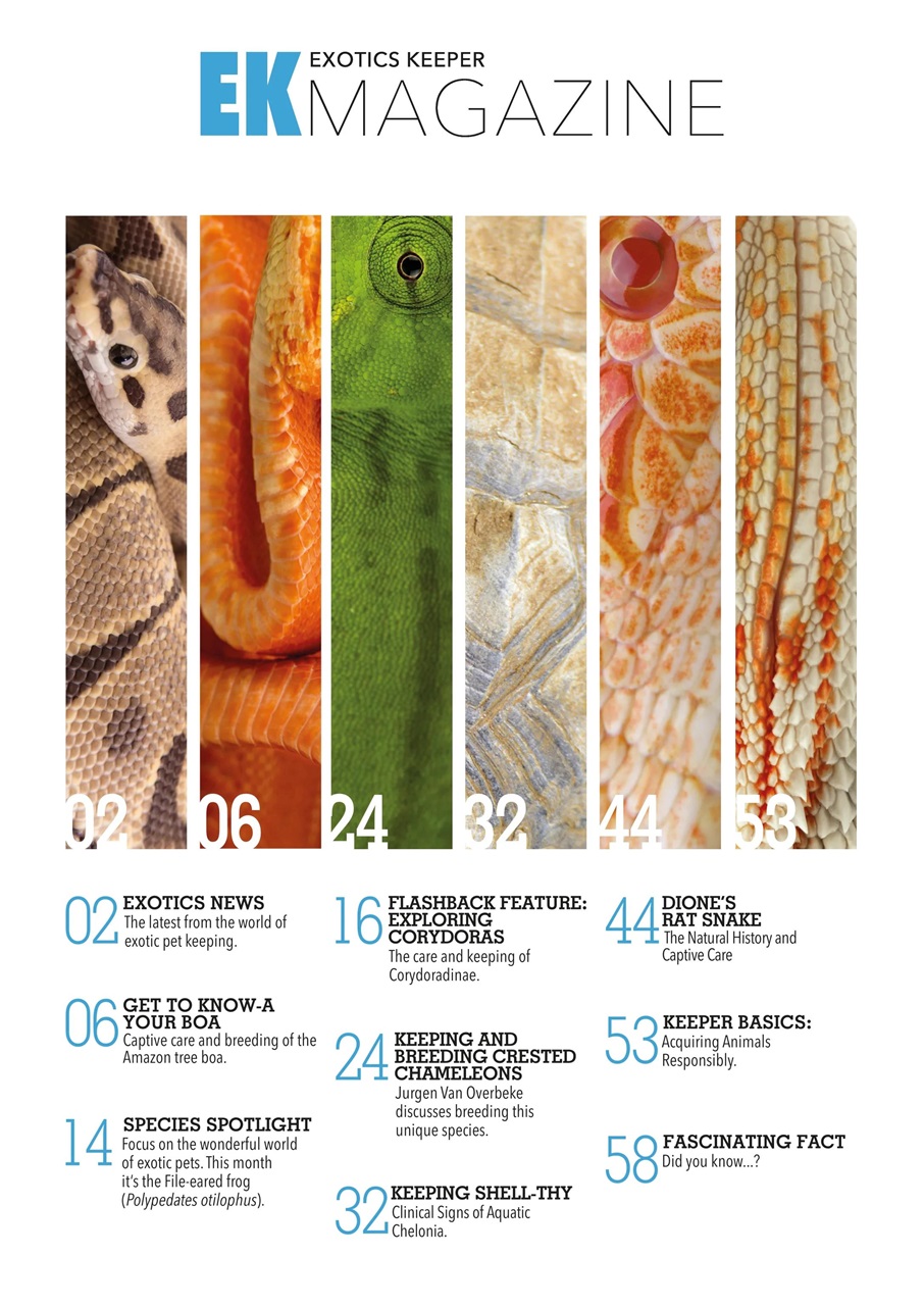 Exotics Keeper Preview Pages