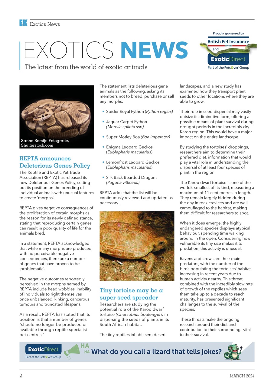 Exotics Keeper Preview Pages