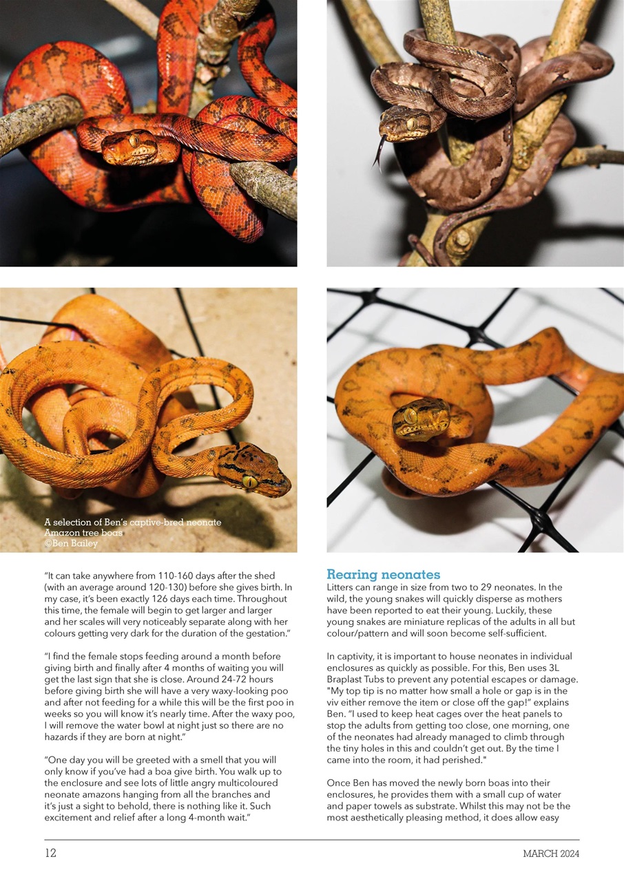 Exotics Keeper Preview Pages