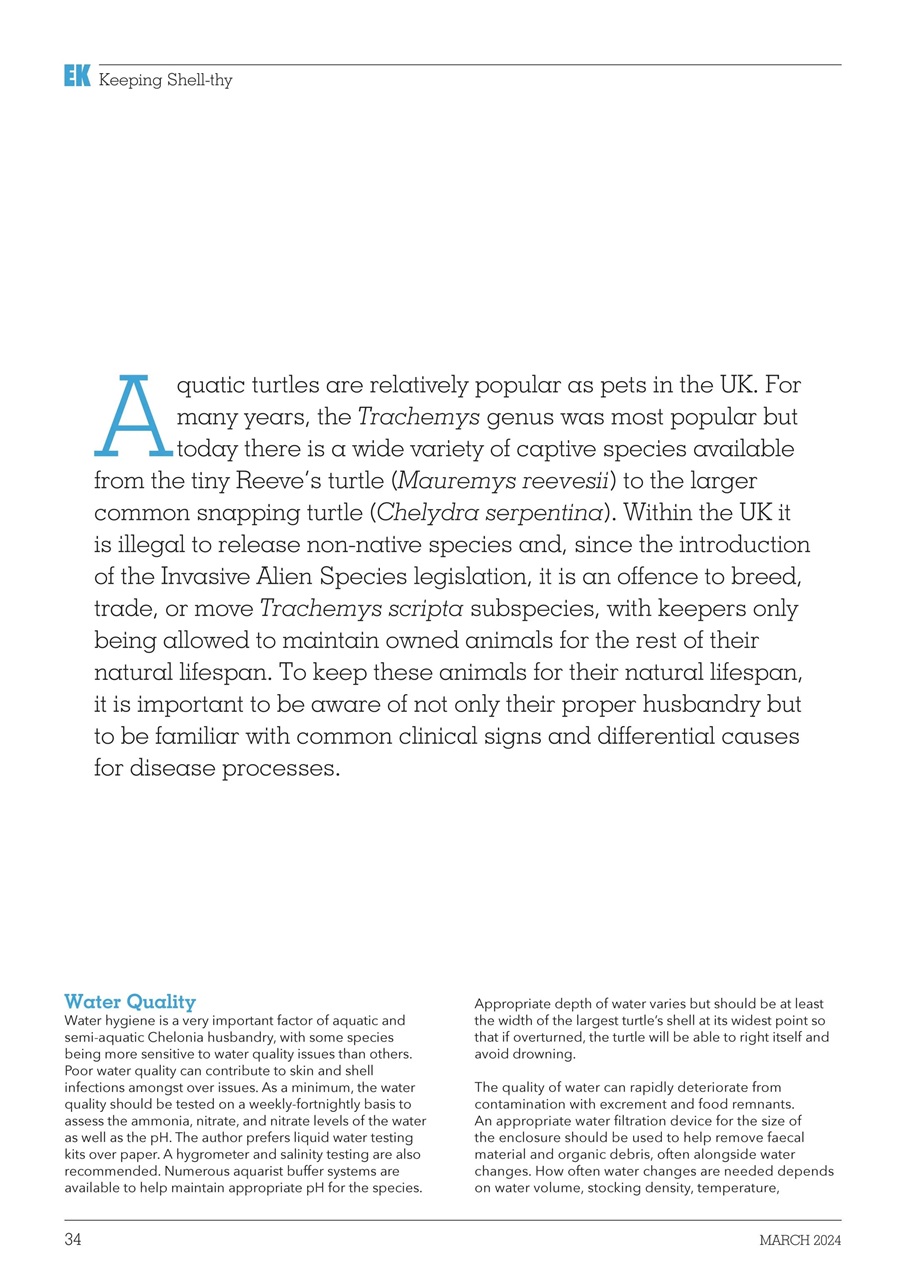 Exotics Keeper Preview Pages