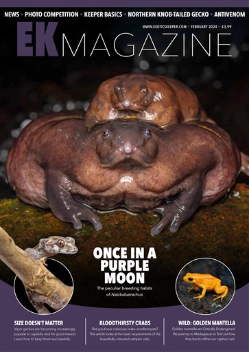 Exotics Keeper issue 