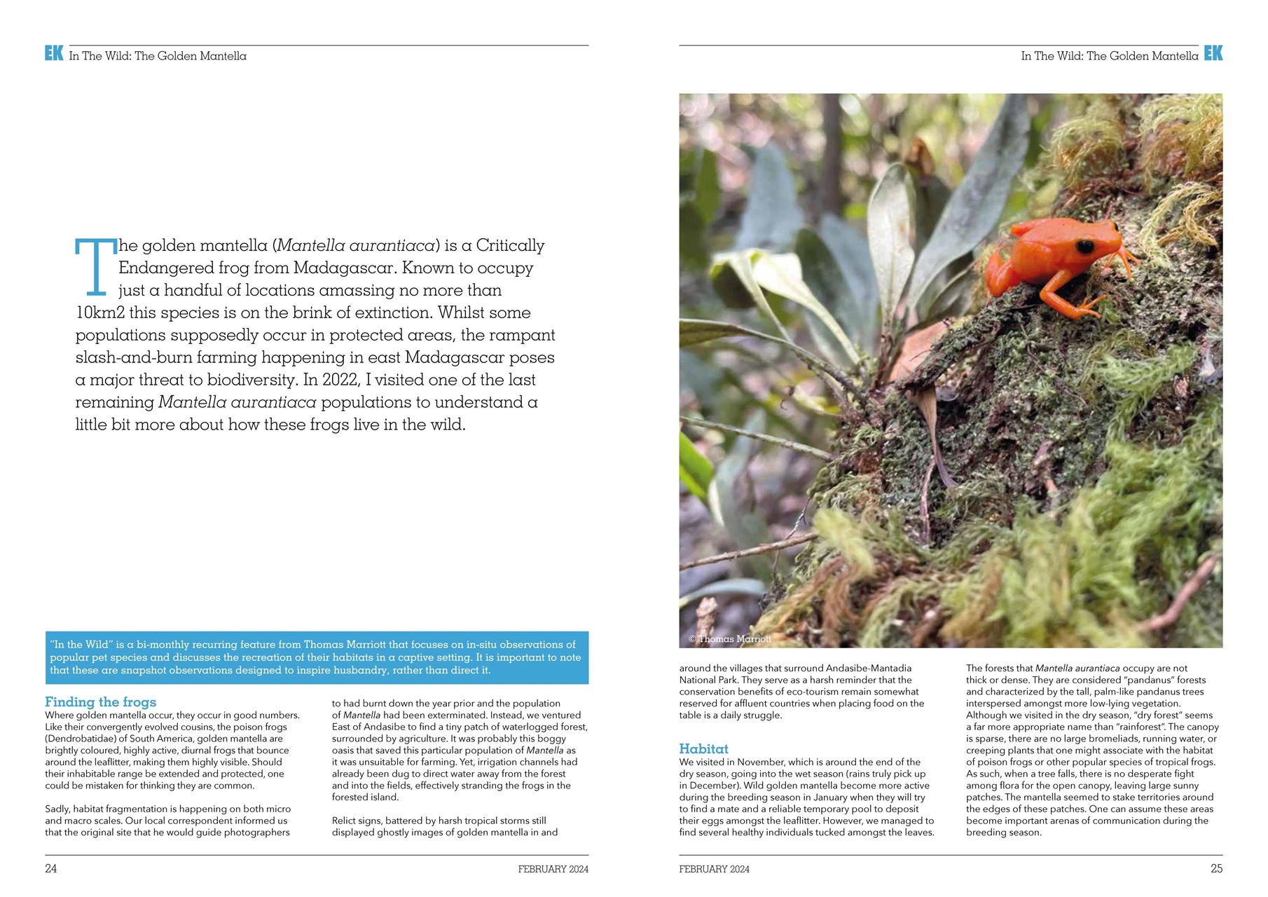 Exotics Keeper Preview Pages