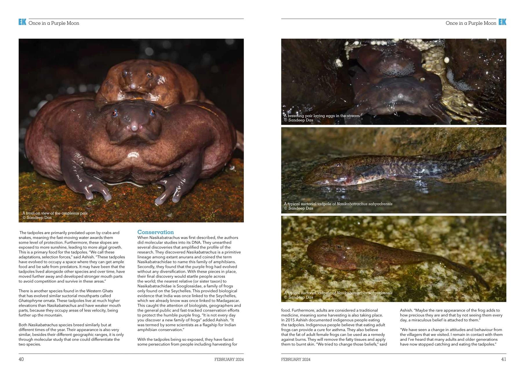 Exotics Keeper Preview Pages