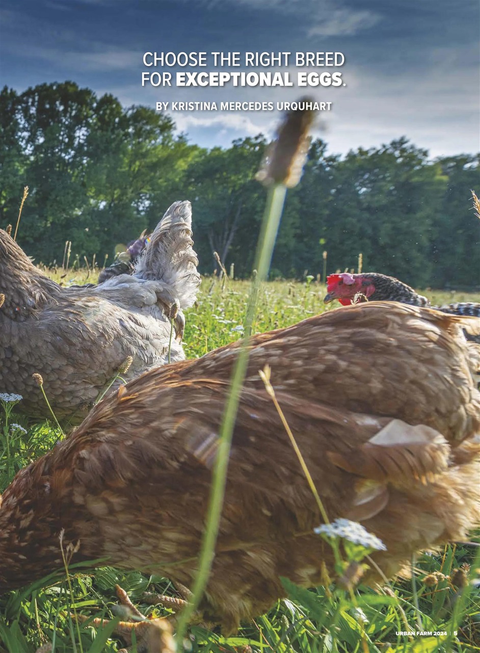 Hobby Farms Magazine Preview Pages