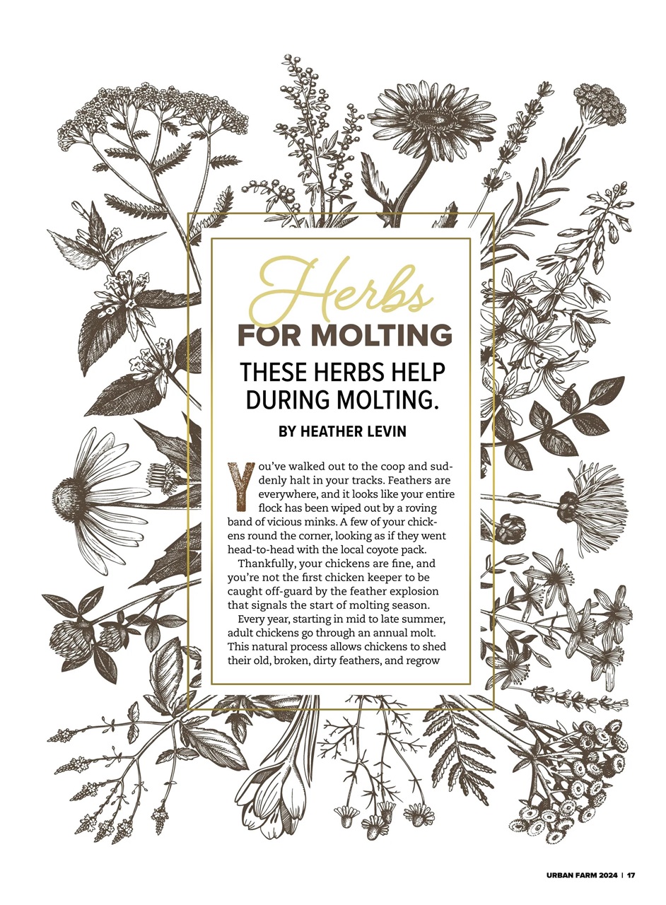 Hobby Farms Magazine Preview Pages