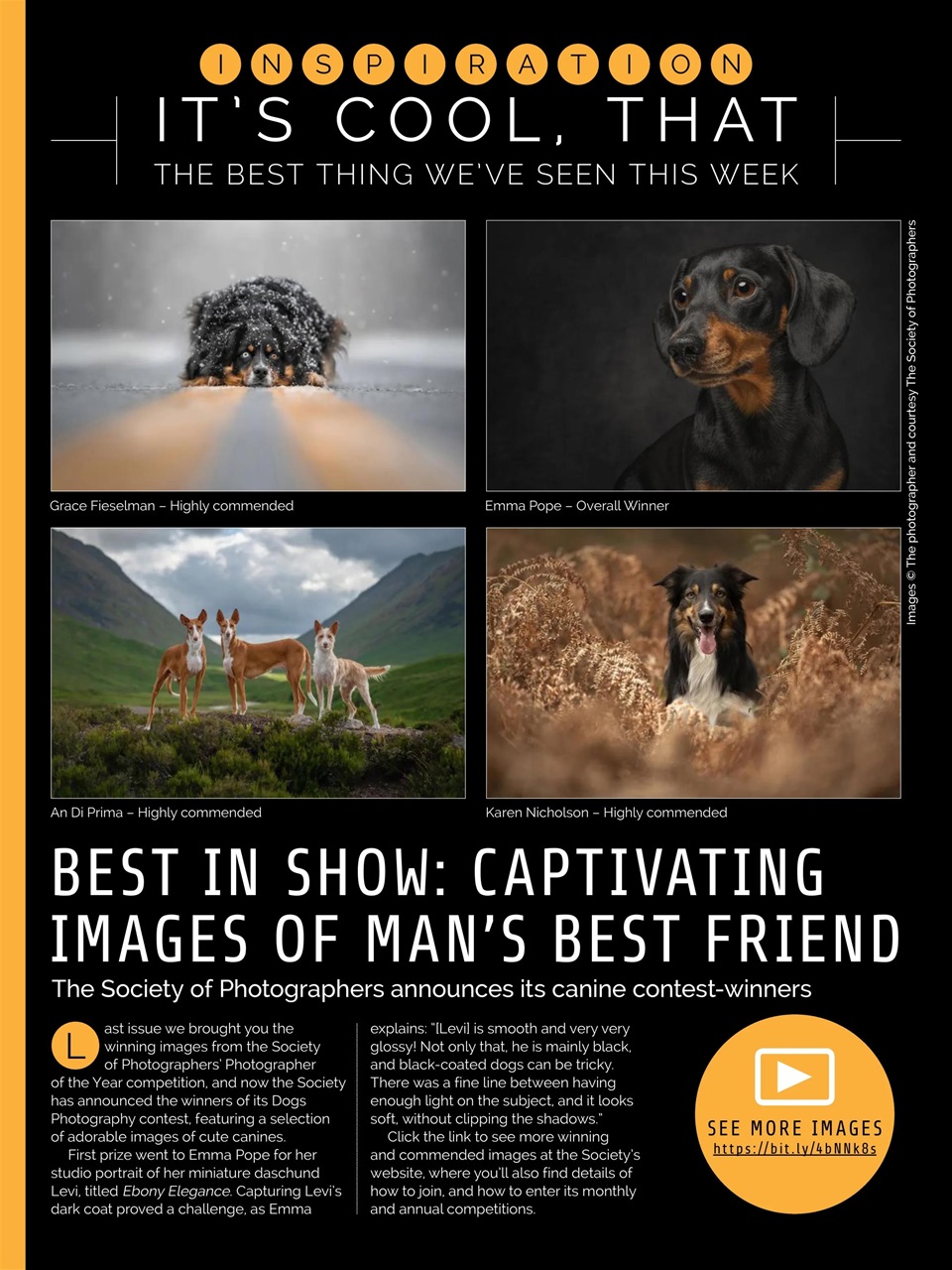Photography Week Preview Pages