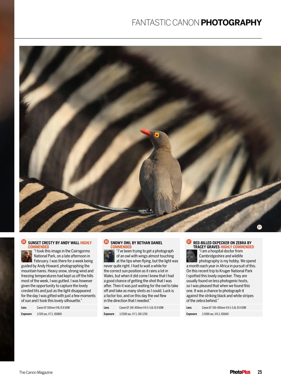 PhotoPlus Preview Pages