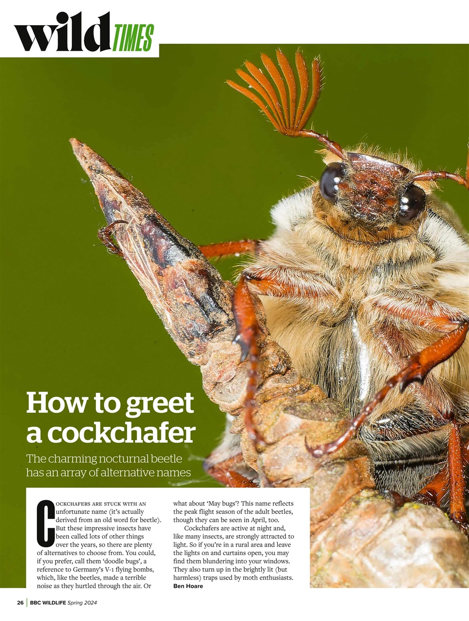 BBC Wildlife Magazine Preview Pages