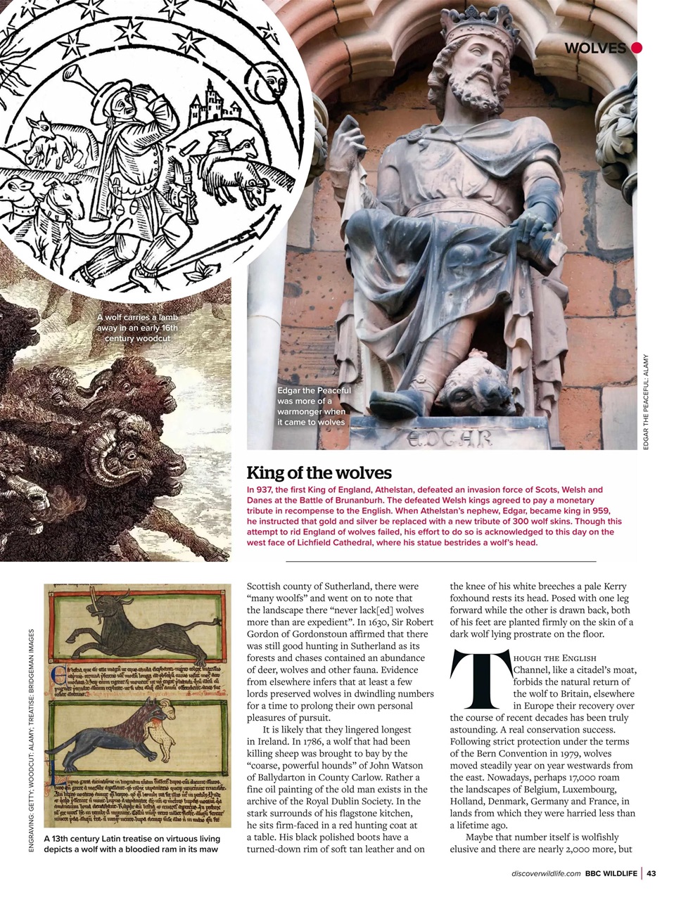 BBC Wildlife Magazine Preview Pages