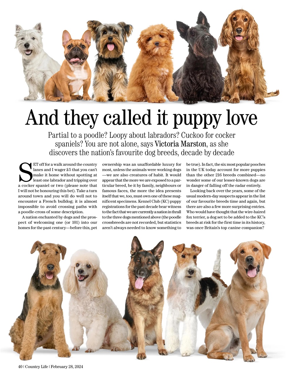 Country Life Preview Pages