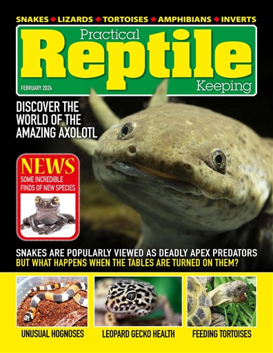 Practical Reptile Keeping issue 