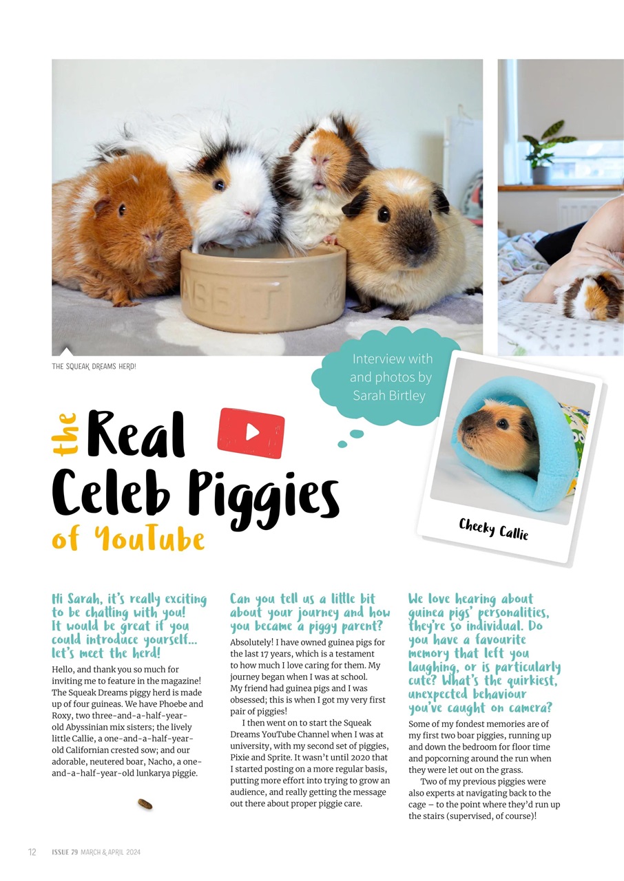Guinea Pig Magazine Preview Pages
