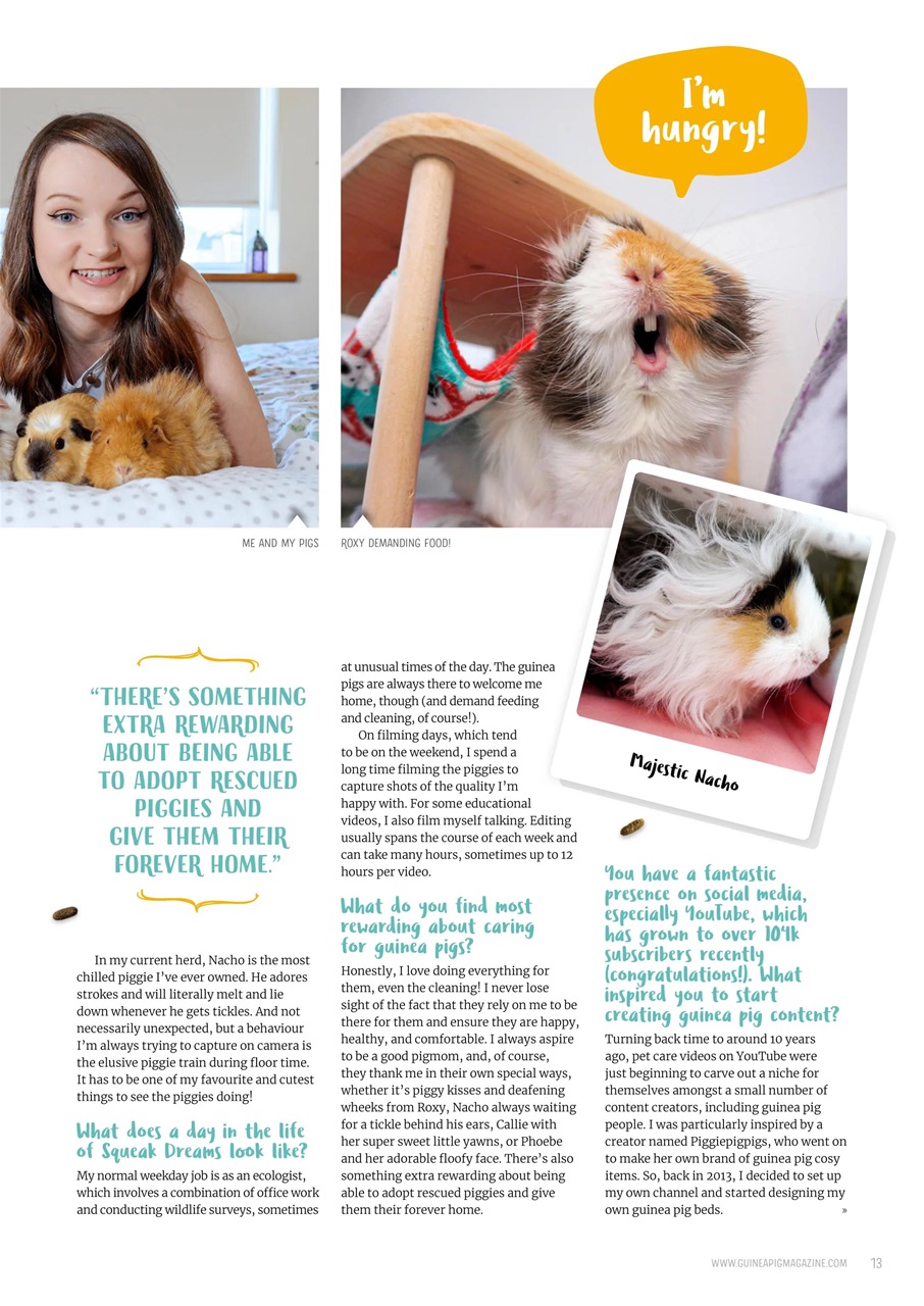 Guinea Pig Magazine Preview Pages