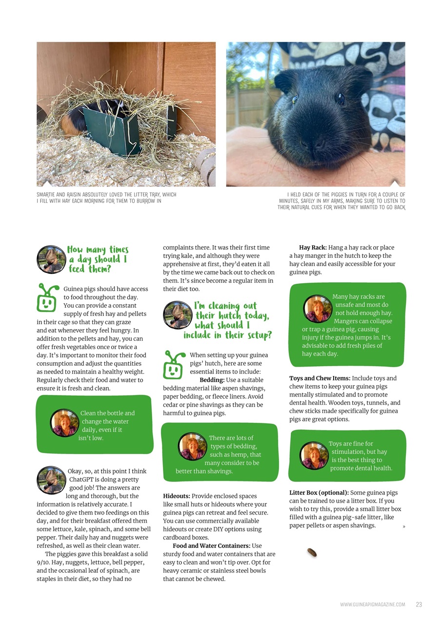 Guinea Pig Magazine Preview Pages