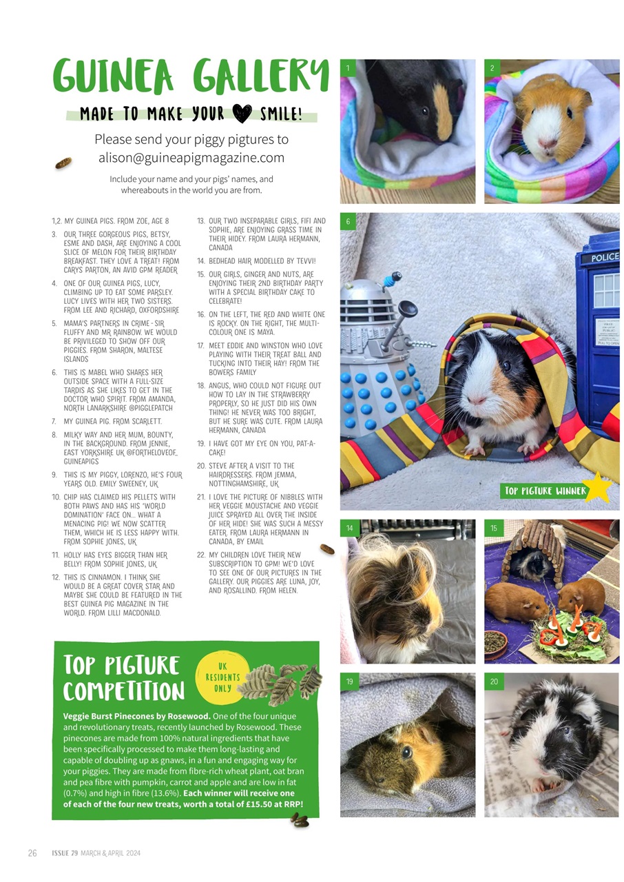 Guinea Pig Magazine Preview Pages