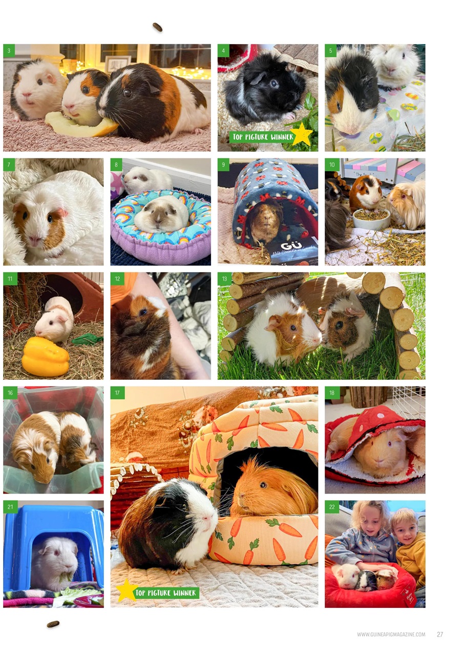 Guinea Pig Magazine Preview Pages