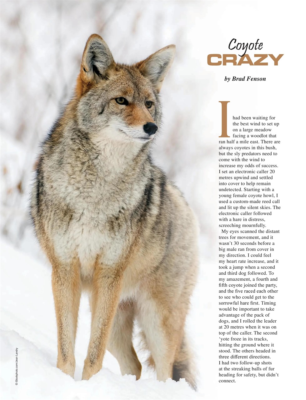 Alberta Outdoors Preview Pages
