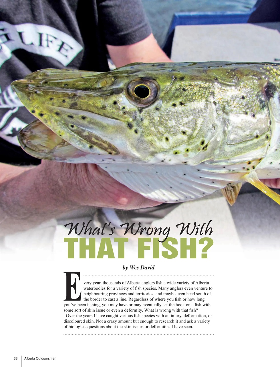 Alberta Outdoors Preview Pages