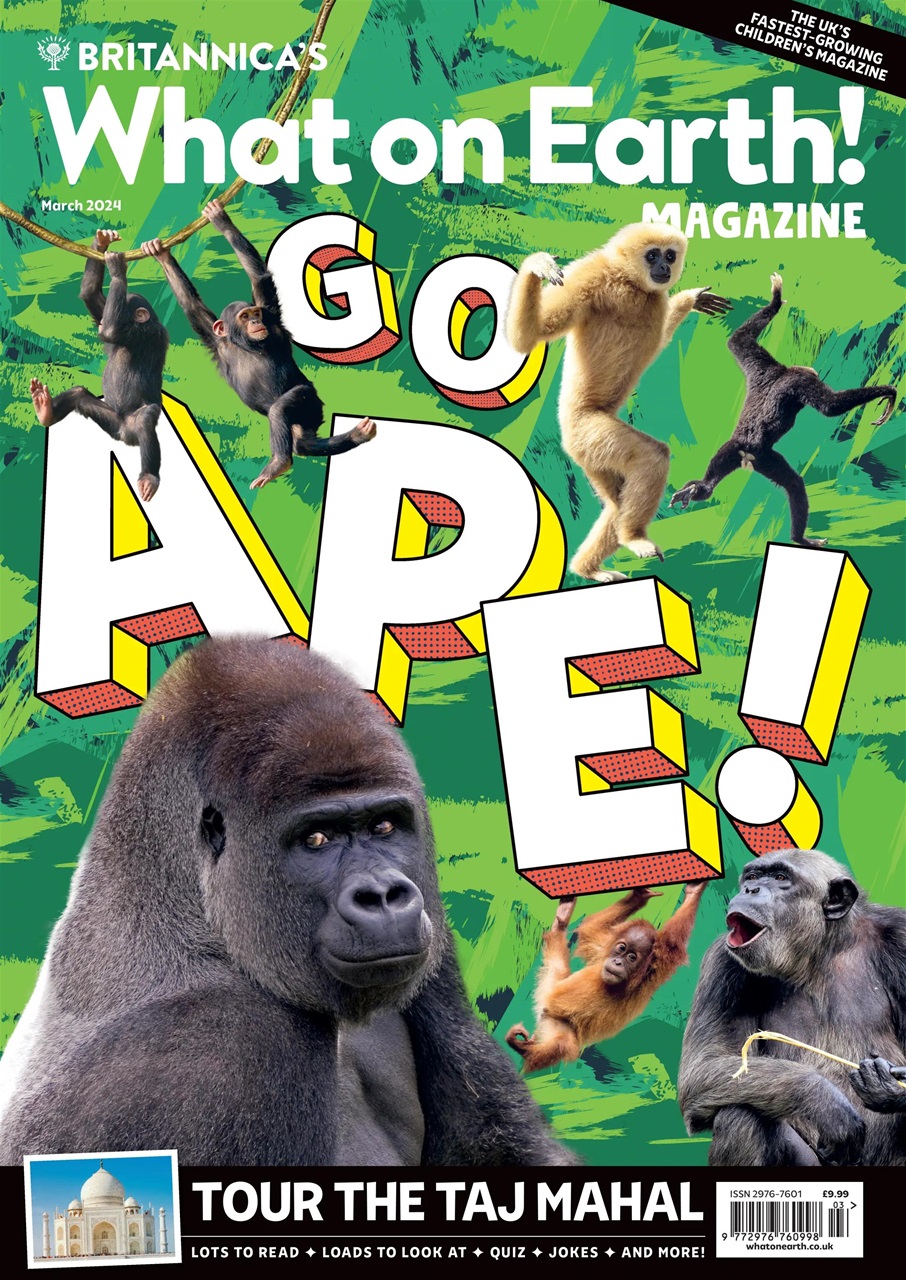 What on Earth! Magazine Preview Pages