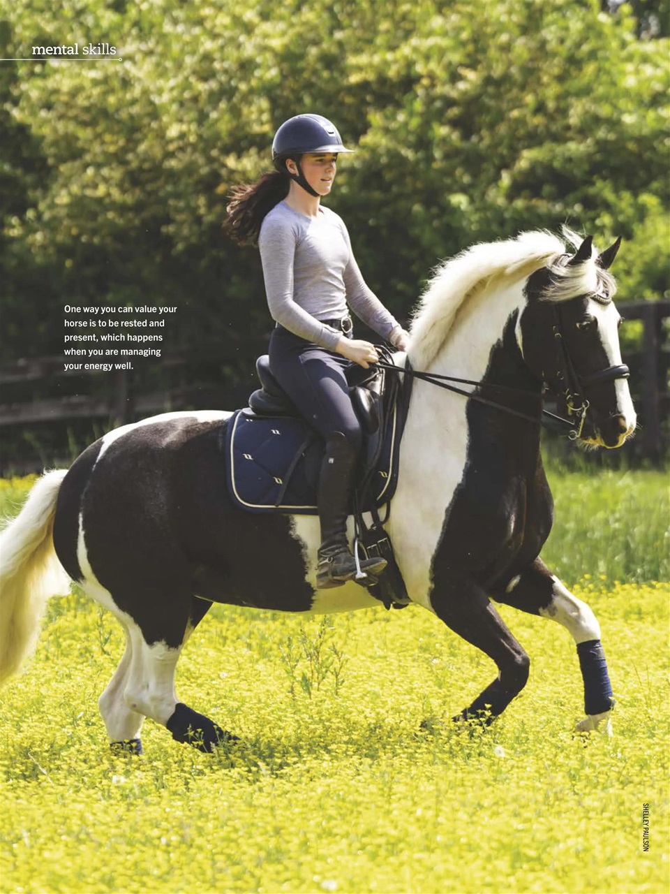 Horse Illustrated Magazine Preview Pages