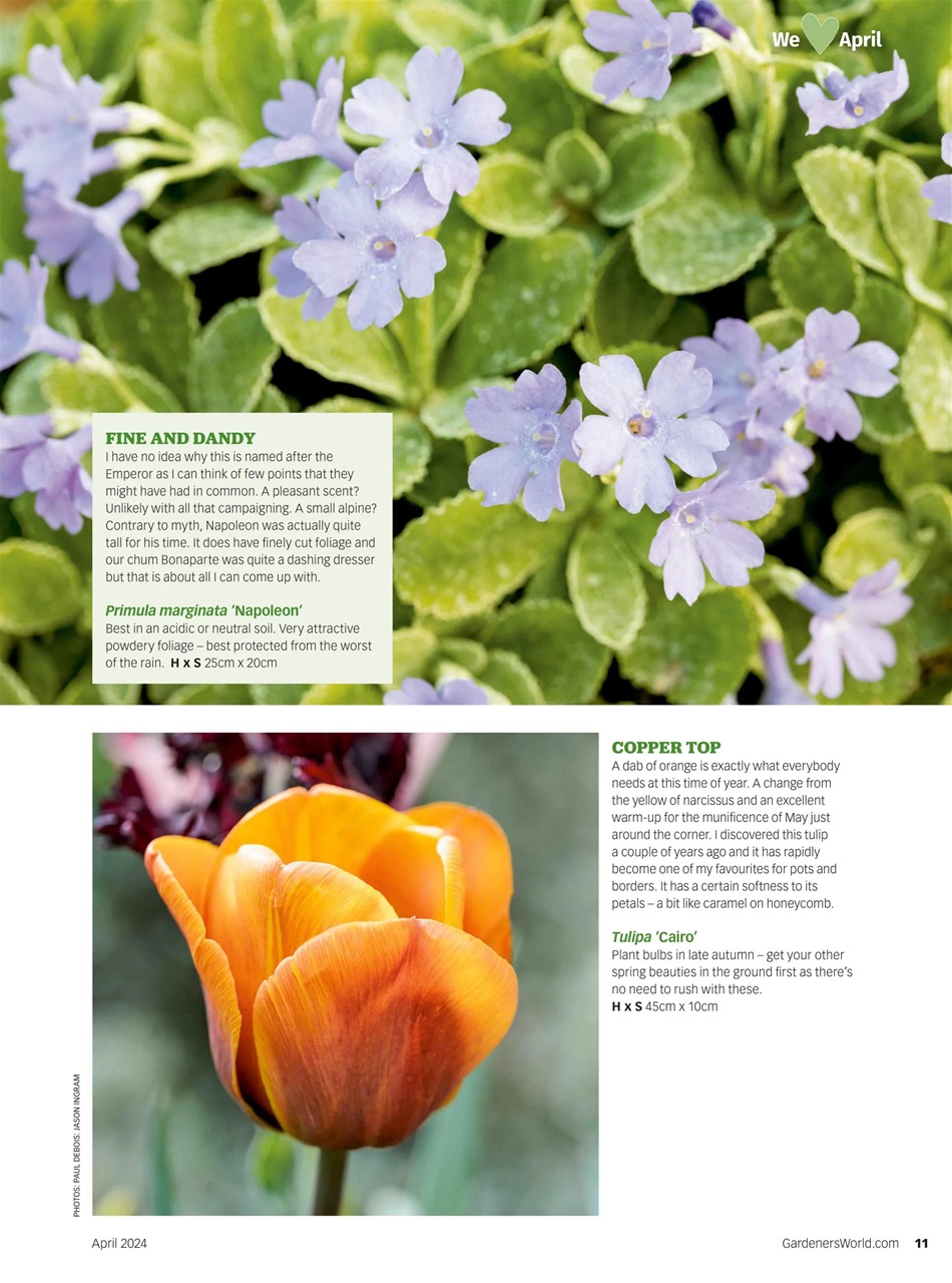 BBC Gardeners’ World Magazine Preview Pages