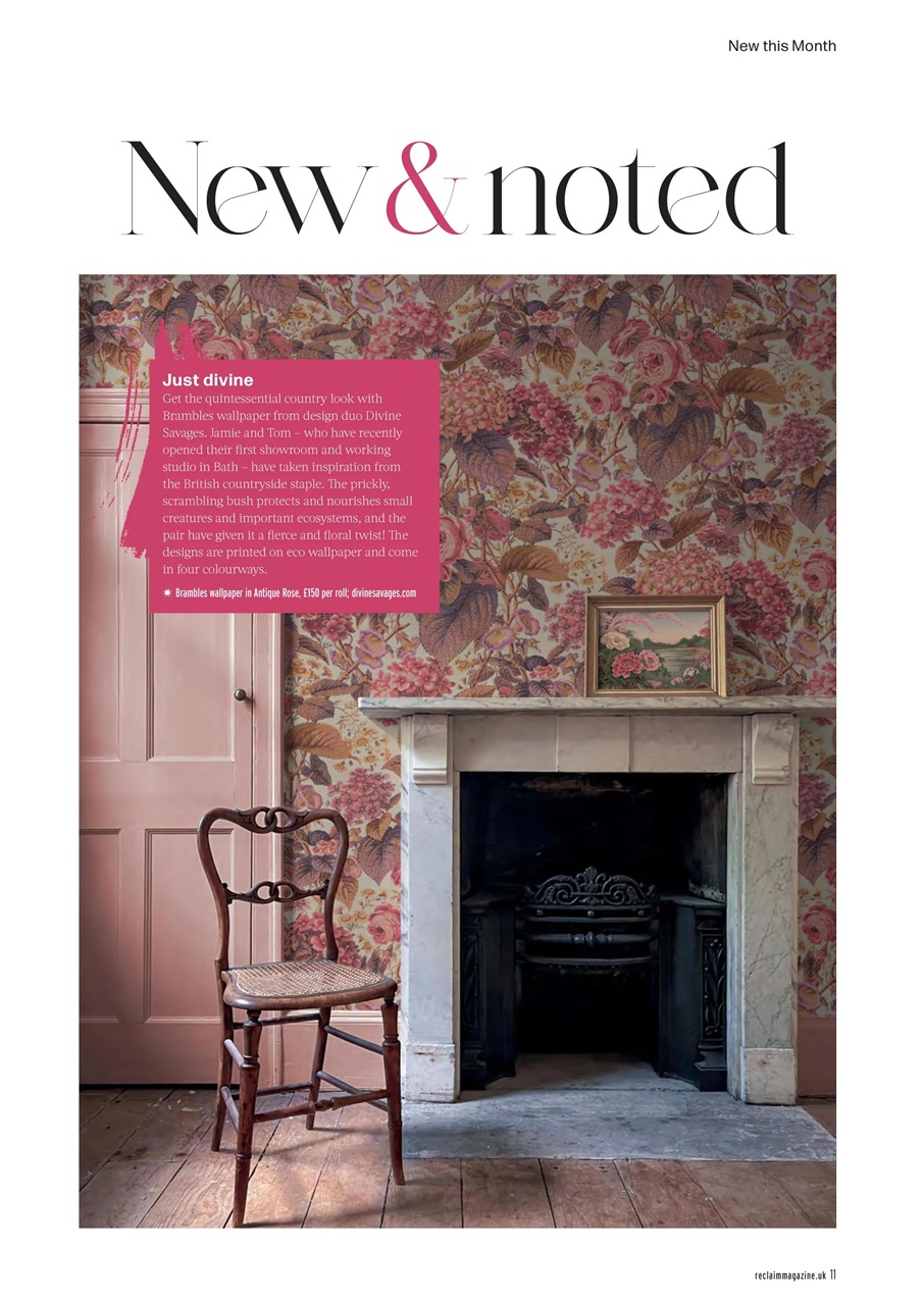 Reclaim Preview Pages