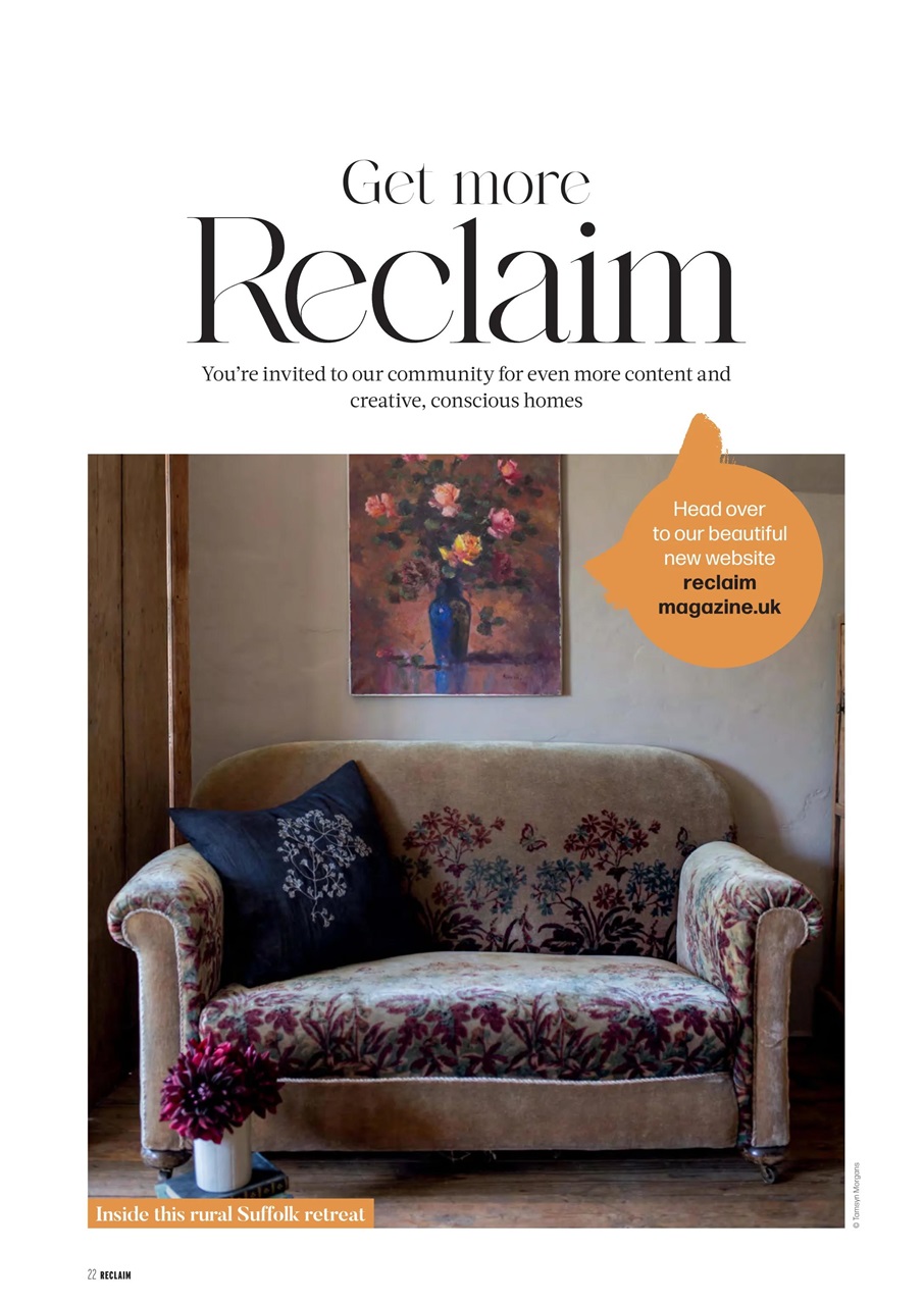 Reclaim Preview Pages