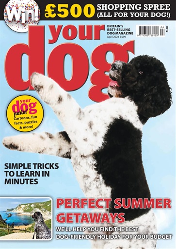 Your Dog issue 