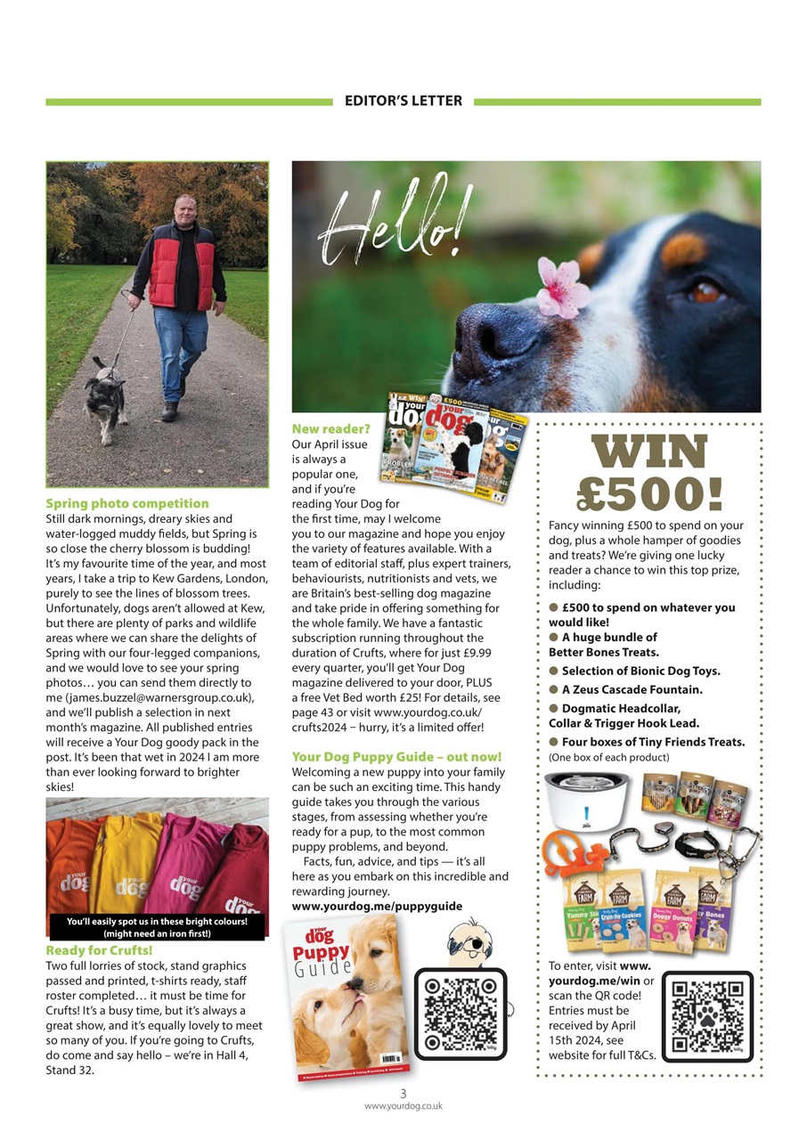 Your Dog Preview Pages