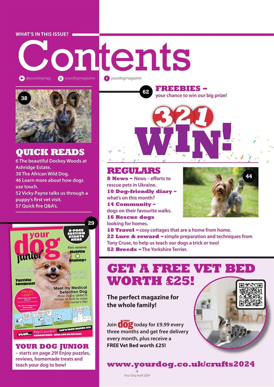Your Dog Preview Pages