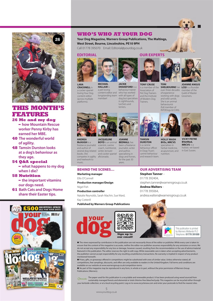 Your Dog Preview Pages