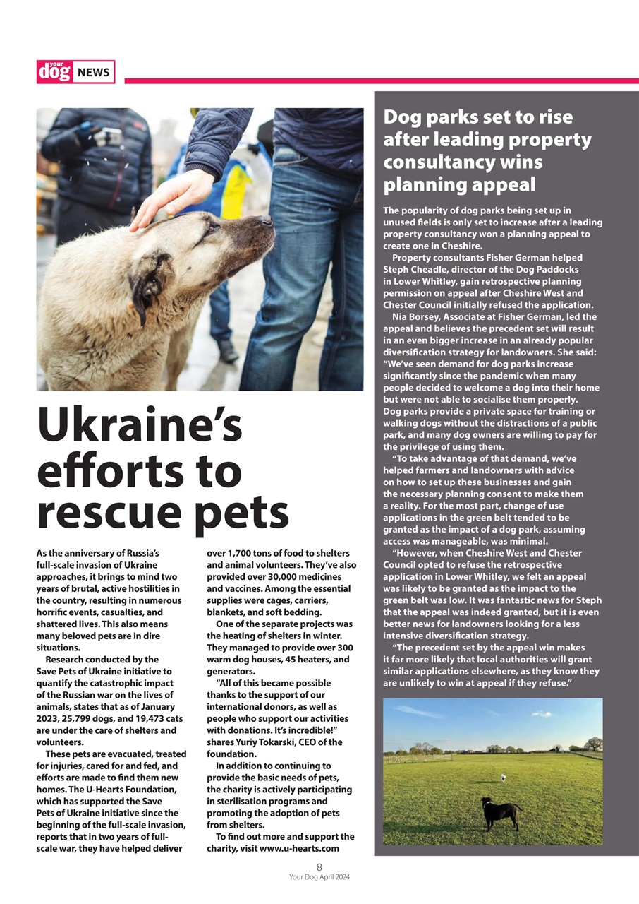 Your Dog Preview Pages