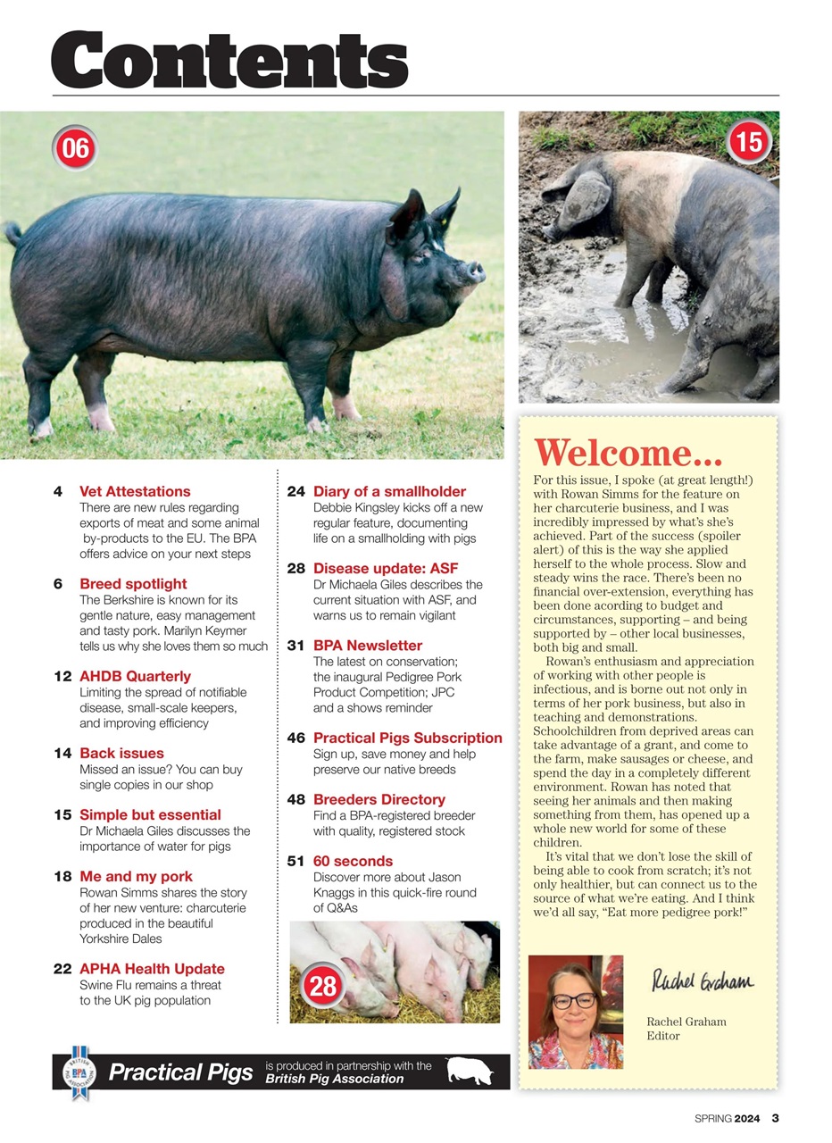 Practical Pigs Preview Pages