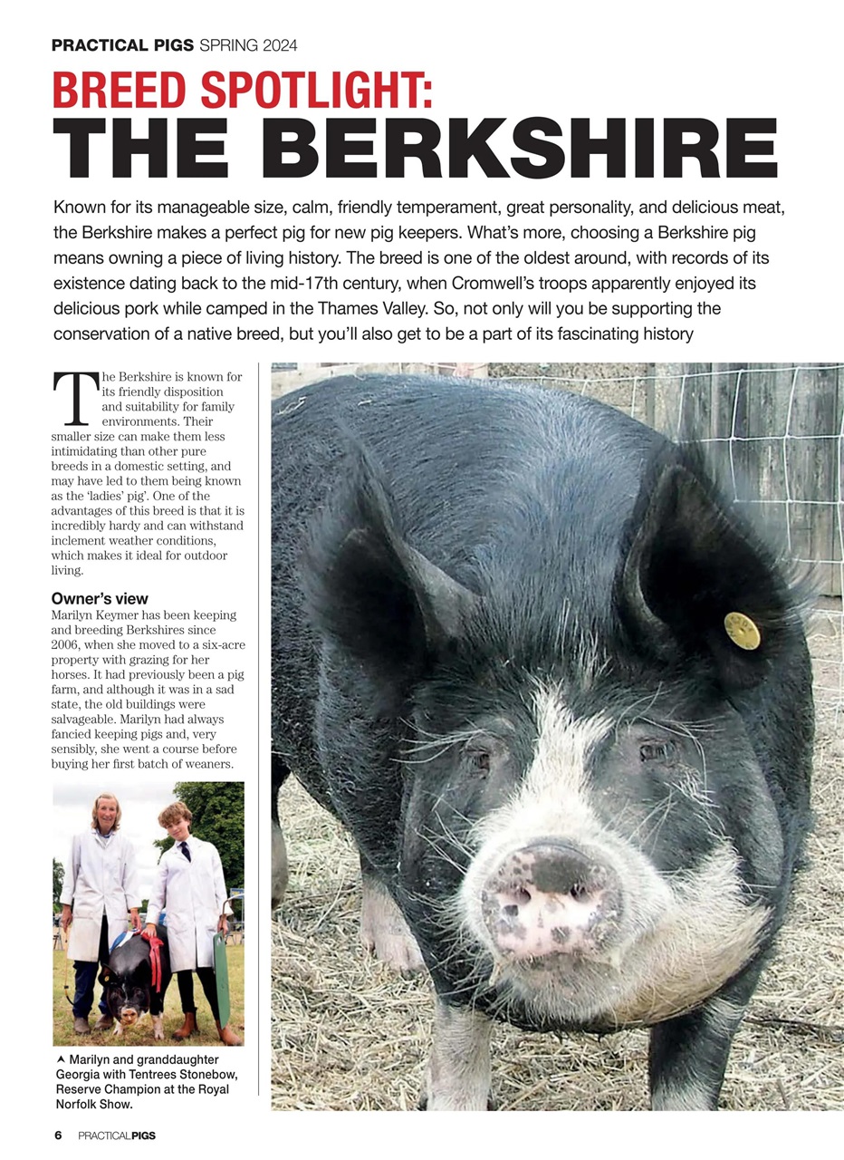 Practical Pigs Preview Pages