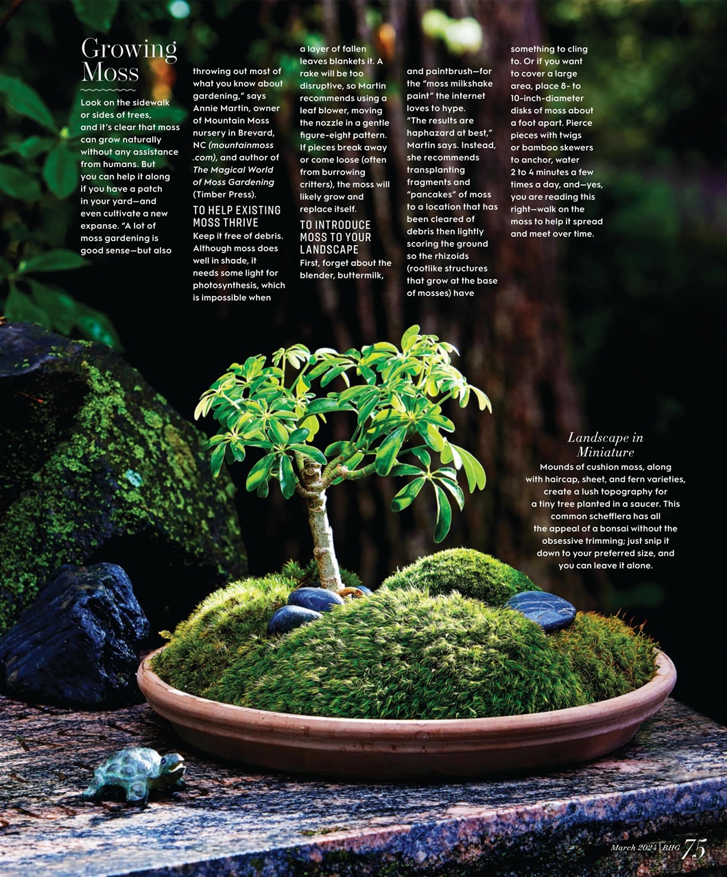 Better Homes & Gardens (US) Preview Pages