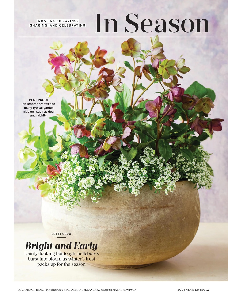 Southern Living Magazine March 2024 Back Issue