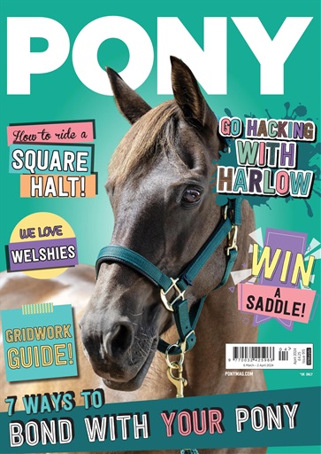 Pony Magazine issue 