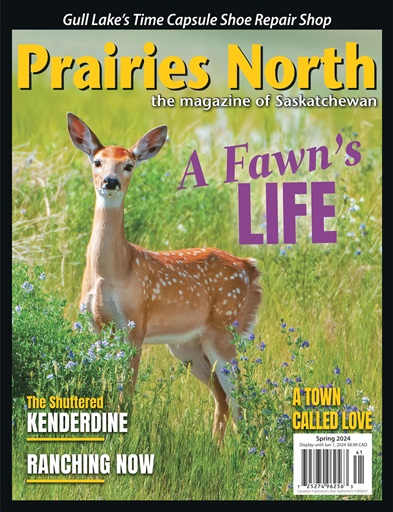 Prairies North Magazine issue 