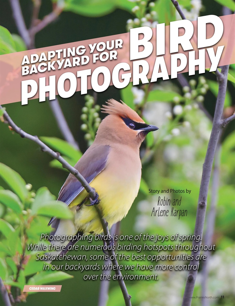 Prairies North Magazine Preview Pages