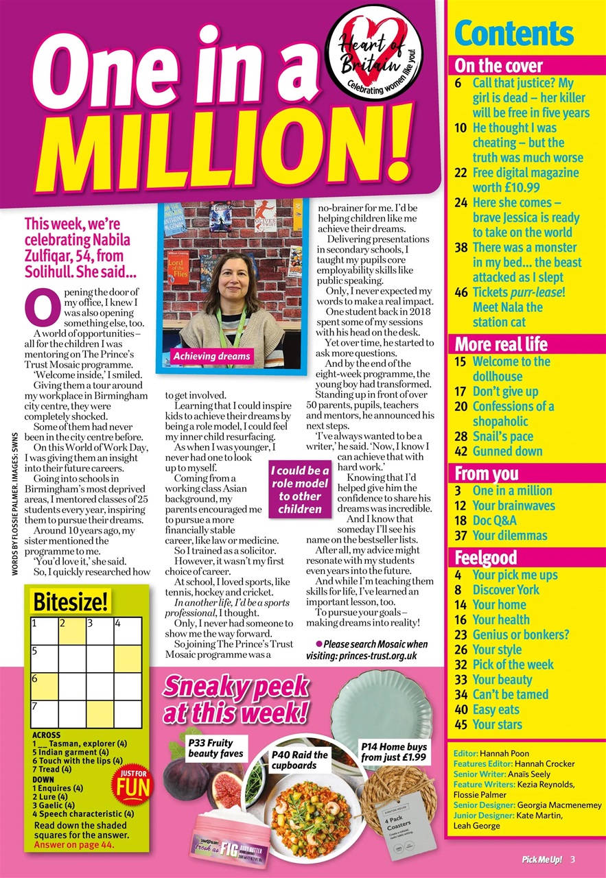 Pick Me Up Preview Pages