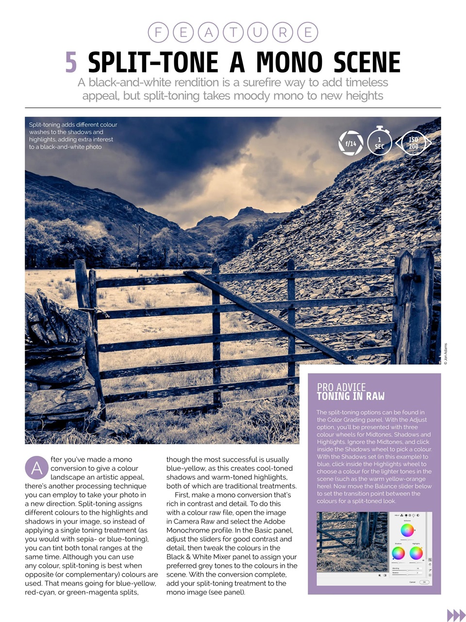 Photography Week Preview Pages