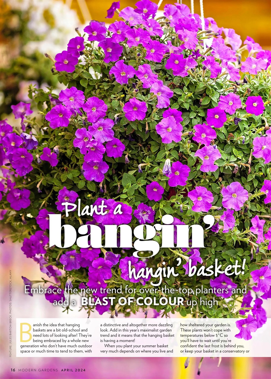 Modern Gardens Preview Pages