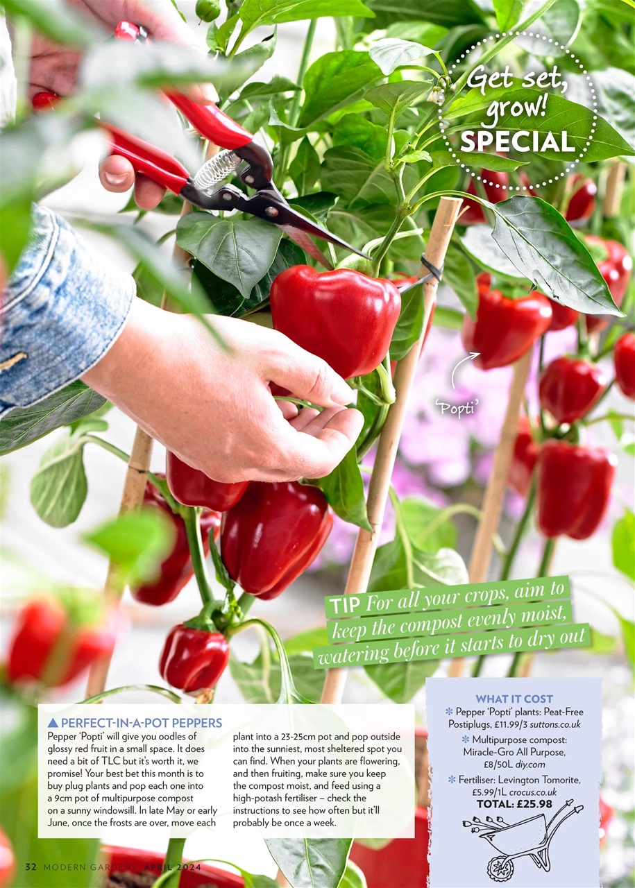 Modern Gardens Preview Pages