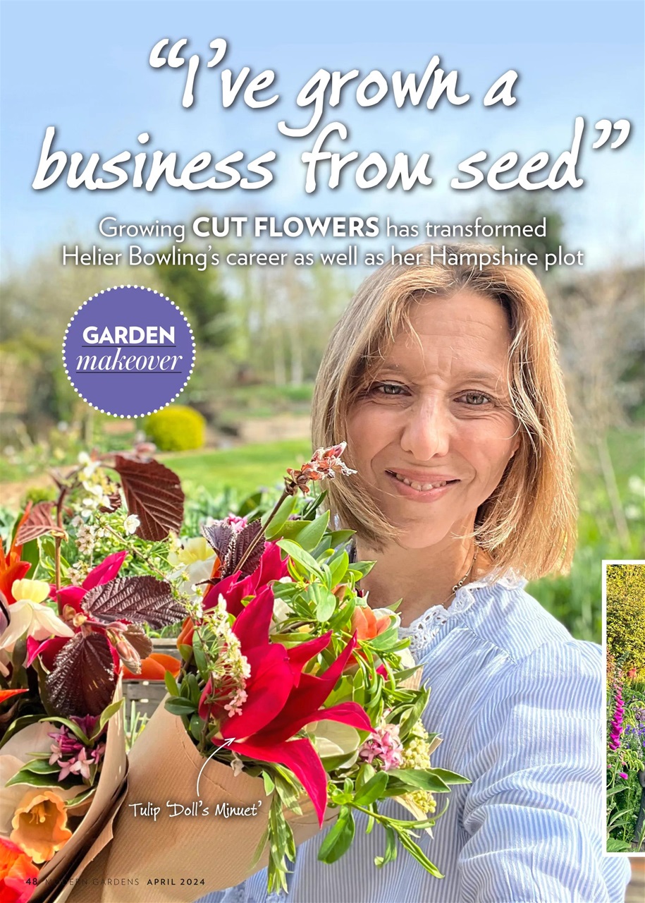 Modern Gardens Preview Pages